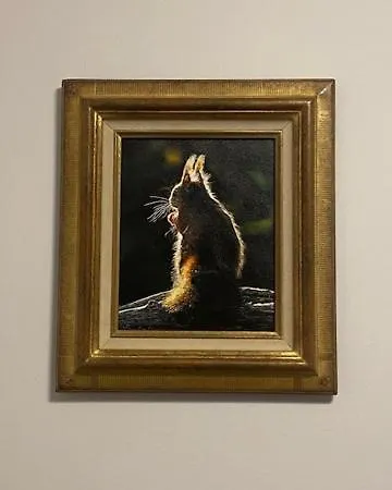 La Maison Du Cedre *